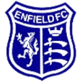 Enfield 1893